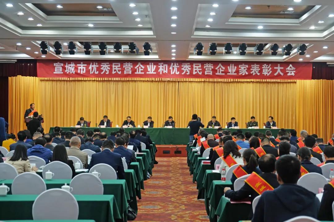 陈建平董事长参加宣城市“优秀民营企业家”表彰大会